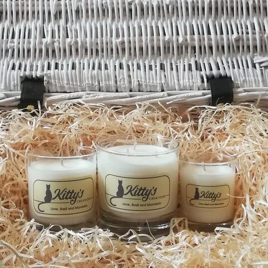 Hand poured candles in handsome glass tumblers filled with natural soy wax.